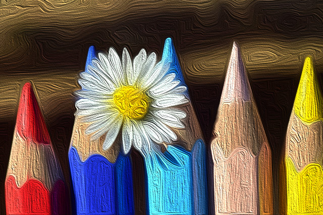 des crayons  de couleur et une fleur